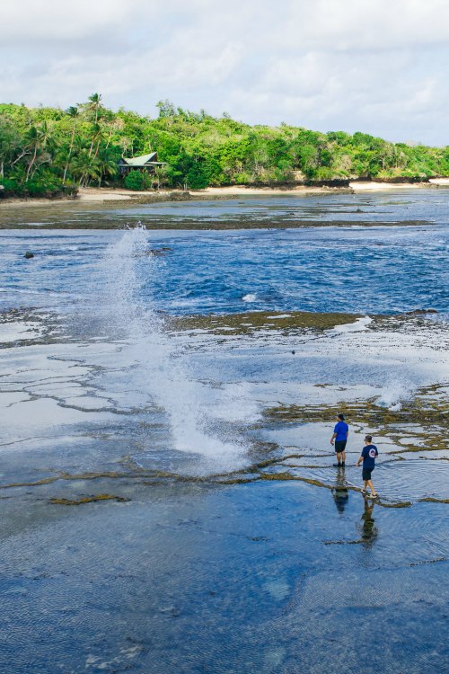 Activities in fiji tidepools