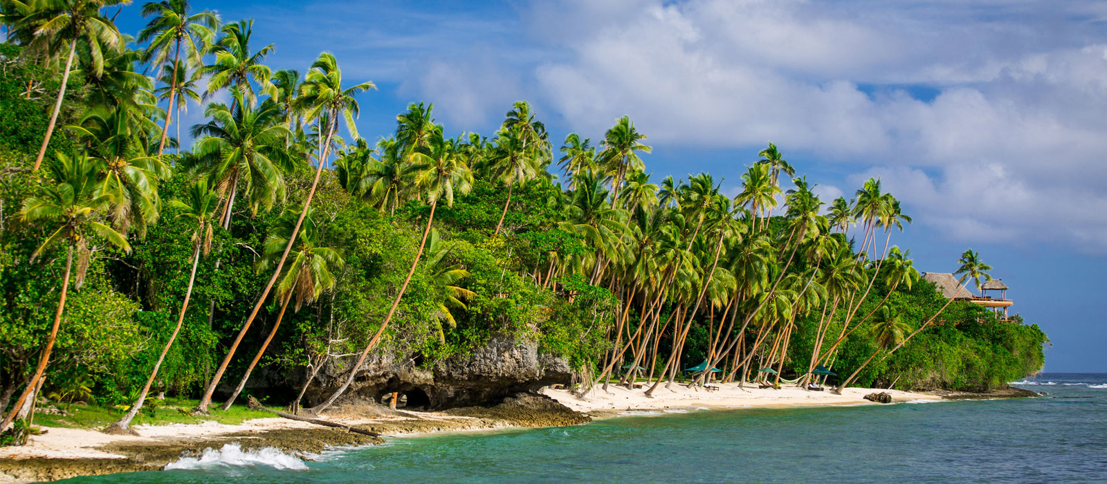 Enjoy a Cocktail on Beautiful Palm Beach
View Our Gallery