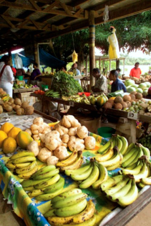 savusavu-farmers-market-fiji