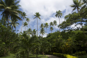 australian-winter-fiji-getaway-package
