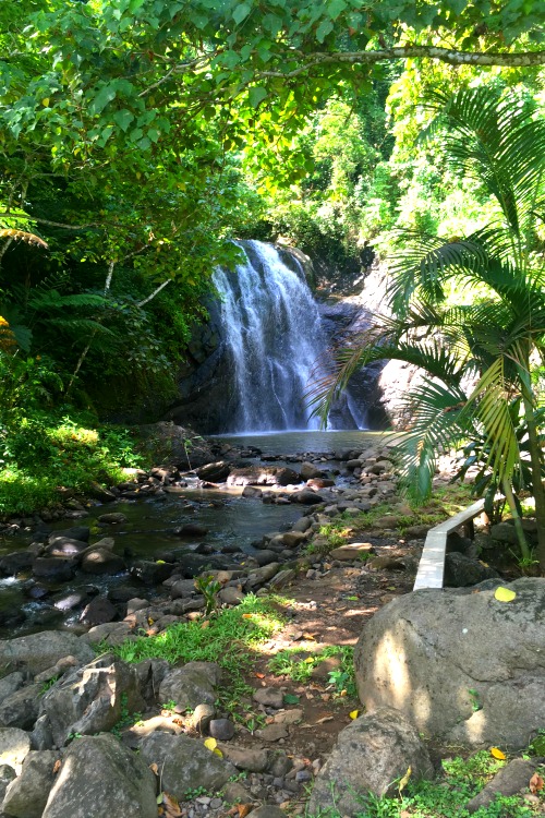 fiji-waterfalls