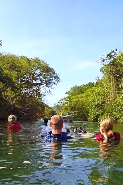 fiji-salt-river-adventure