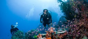fiji-holiday-travel-packages