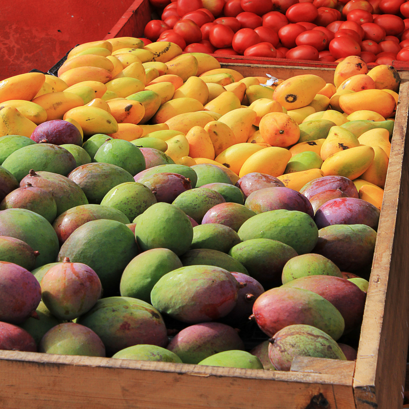 mango-season-fiji-mango-margarita