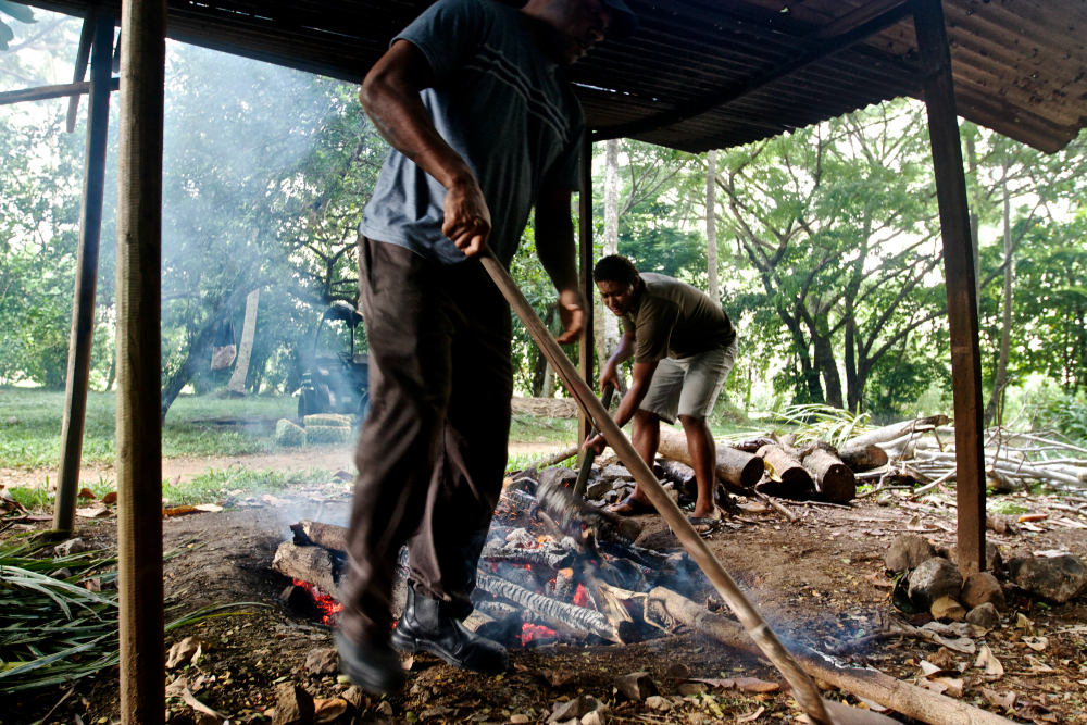 fiji-food-lovo