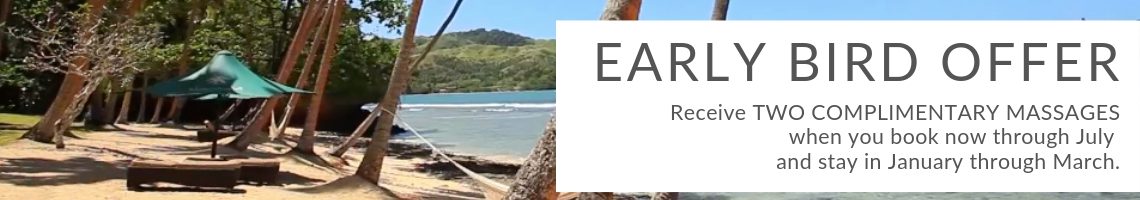 early bird offer early bird offer